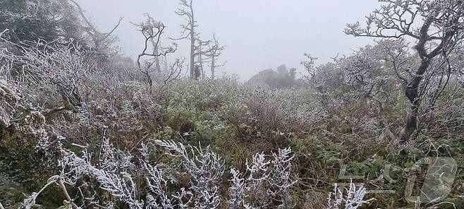 28일 전북 무주군 덕유산 설천봉의 기온이 영하 5.3도까지 떨어지고 향적봉(1614m), 대피소 등 주능선에 상고대가 생성됐다.(덕유산사무소 제공. 재판매 및 DB금지)2025.10.28/뉴스1 ⓒ News1 김동규 기자