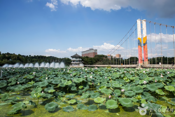 덕진공원 /사진제공-한국관광공사