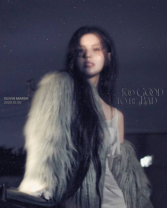 사진=엠플리파이 제공.