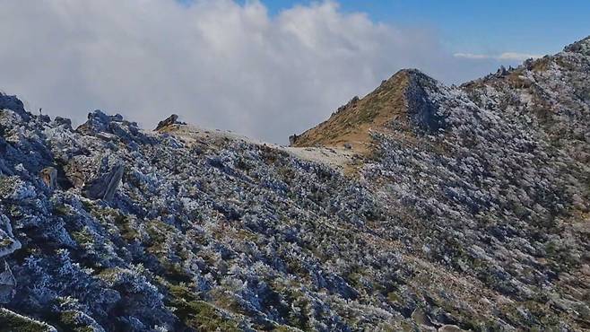 오늘(28일) 오전 한라산 백록담에서 관측된 상고대 (한라산국립공원관리소 제공)