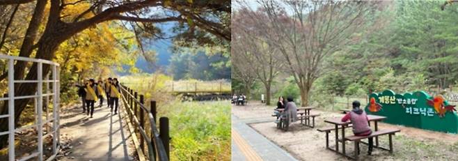 계룡산 수통골 행복탐방로[국립공원공단 제공]