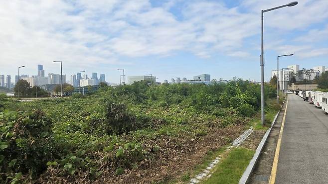 [세종=뉴시스] 송승화 기자 =  세종시 어진동 국무총리 공관 맞은편 1-5생활권 B4 단독주택 예정지에 잡초와 잔목들이 우거져 있다. 2025.10.27. ssong1007@newsis.com *재판매 및 DB 금지