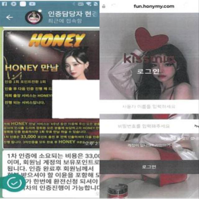 ▲허위 조건만남 사이트 화면들 ⓒ충남경찰청