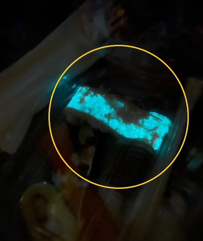 태국의 한 누리꾼이 달걀 초밥에서 푸른 빛이 난다고 주장하며 올린 사진이 온라인상에서 화제를 모으고 있다. 페이스북