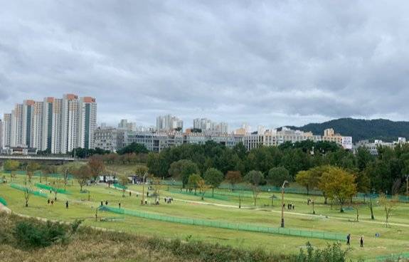 세종시민들이 수변에 조성된 파크골프장에서 파크골프를 즐기고 있다. 구자홍 기자