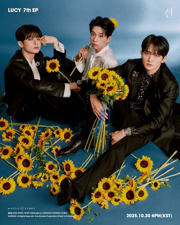 티브이데일리 포토