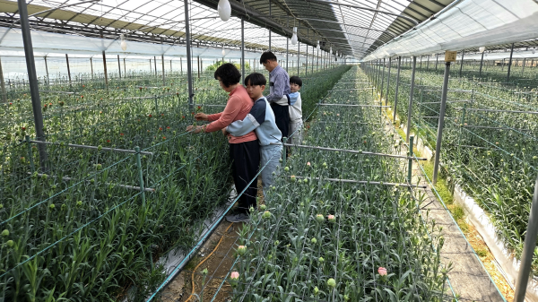 제1회 국제 디카시 공모전 최우수상 수상작 '꽃등' 사진.