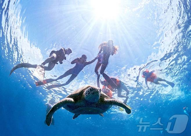 29일(현지시간) 인도네시아 마나도 부나켄 해양국립공원에서 이스타항공의 인천-마나도 첫 편을 통해 도착한 관광객들이 스노쿨링과 다이빙을 즐기고 있다. 마나도 부나켄 해양국립공원은 맑은 바다 속에서 1,300종 이상의 해양 생물과 370여 종의 살아있는 산호초 등을 맨 눈으로 감상할 수 있어 세계 3대 다이빙 성지로 불린다. 2025.10.29/뉴스1 ⓒ News1 안은나 기자