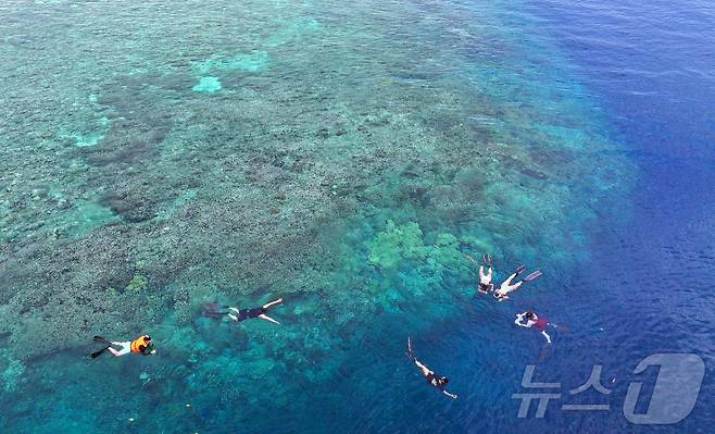 29일(현지시간) 인도네시아 마나도 부나켄 해양국립공원에서 이스타항공의 인천-마나도 첫 편을 통해 도착한 관광객들이 스노쿨링과 다이빙을 즐기고 있다.  2025.10.29/뉴스1 ⓒ News1 안은나 기자