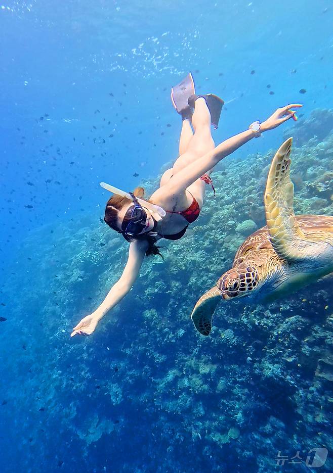 29일(현지시간) 인도네시아 마나도 부나켄 해양국립공원에서 이스타항공의 인천-마나도 첫 편을 통해 도착한 관광객들이 프리다이빙을 하고 있다. 2025.10.29/뉴스1 ⓒ News1 안은나 기자