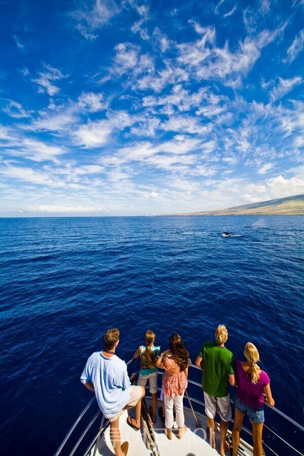 &nbsp;마우이&nbsp;인근&nbsp;해역에서&nbsp;혹등고래를&nbsp;관찰&nbsp;중인&nbsp;여행객들/사진-&nbsp;하와이&nbsp;관광청.