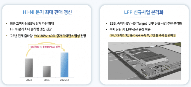 엘앤에프 사업 전망