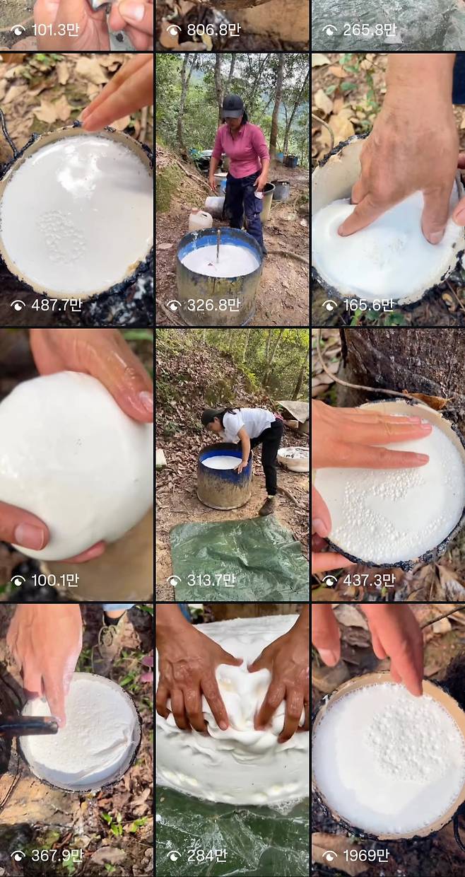 출처=인스타그램