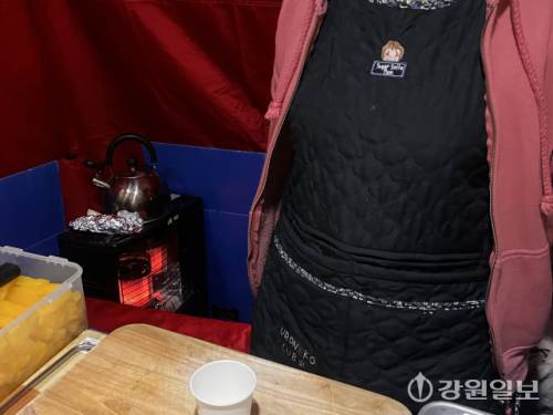 ◇김밥장사를 하는 이씨는 가을을 건너뛴 초겨울 날씨에 난로와 거울용 앞치마를 꺼냈다. 사진=고은기자