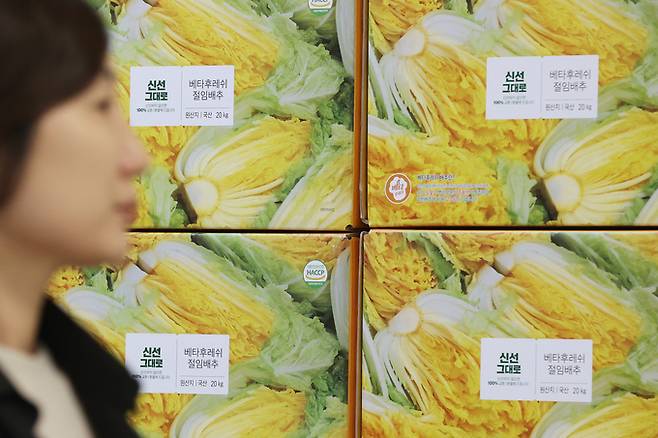 ▲ 다가오는 김장철을 맞아 대형마트 3사가 절임배추 예약판매에 나선 23일 서울의 한 이마트에 절임배추 상자가 놓여있다.연합