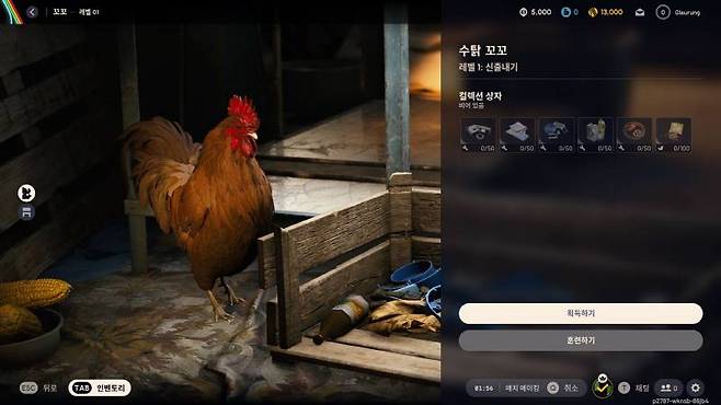 재료를 물어와주는 효자 꼬꼬