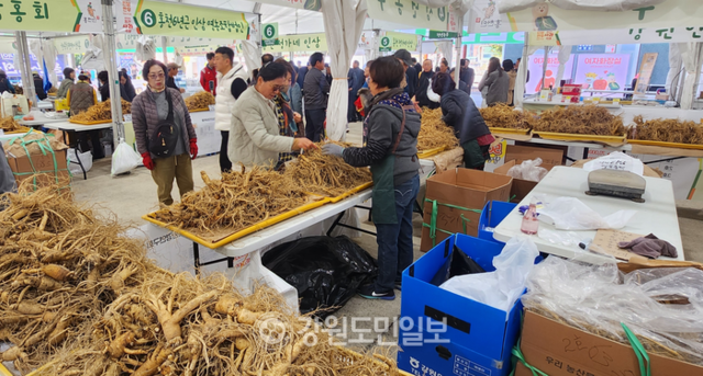 ▲ ‘제23회 홍천 인삼·한우 명품축제’와 ‘제10회 홍천사과축제’ 개장식이 30일 오전 홍천 도시산림공원 토리숲 메인무대에서 열렸다.안은복 기자