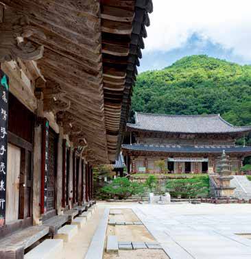 임세웅 해설사가 구례 관광 해설을 할 때 가장 먼저 찾는다는 화엄사 전경.