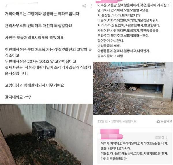 한 온라인 커뮤니티에서 입주민과 캣맘으로 추정되는 A씨가 갈등을 빚고 있다. [사진 = 온라인 커뮤니티 캡처]