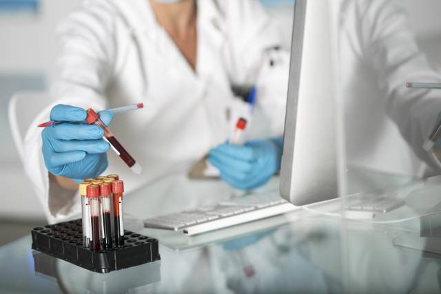 클립아트코리아