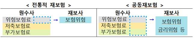 /자료=금융감독원