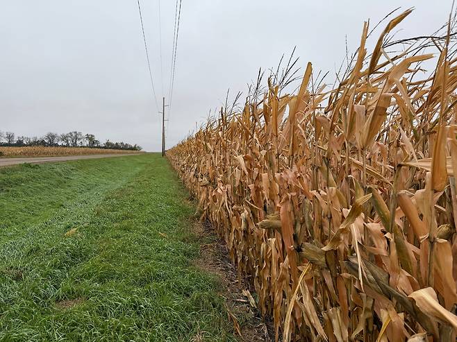노스다코타 파고에 있는 옥수수 농장. 규모는 여의도정도로, 농부들은 디지털을 접목한 농기계를 활용해 경작한다./안소영 기자