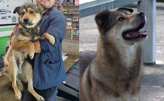 사연의 주인공 황구 오공이는 7년 전 한 여고생이 눈물로 구조요청한 유기견이었다. 학생은 이미 20여 곳의 단체로부터 구조요청을 거절당한 상태였다고. 구조단체 팅커벨프로젝트의 뚱아저씨는 그런 학생의 따뜻한 마음을 존중했고, 사비를 털어 황구를 구조했다. 전병준 기자