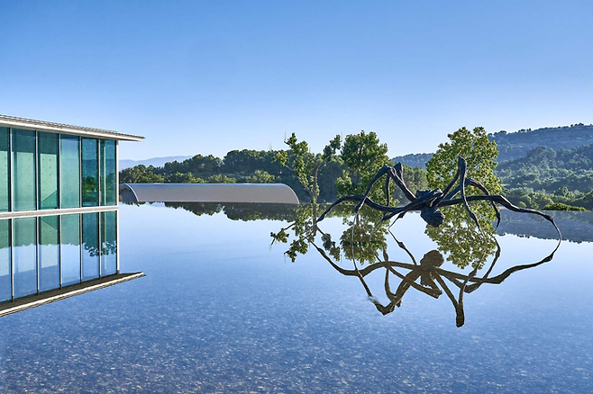 루이즈 부르주아의 [웅크린 거미]. 미술관 최고의 포토 스팟이다. ©Château La Coste