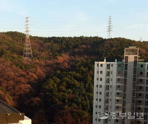 수원의 한 아파트 인근 야산에 고압송전탑 2기가 설치된 모습. 중부포토DB