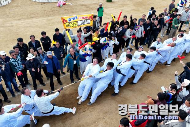 제19회 청송사과축제 행사장에서 단합된 군민들의 모습을 보여주는 읍면별 줄당기 대회 사진=청송군제공