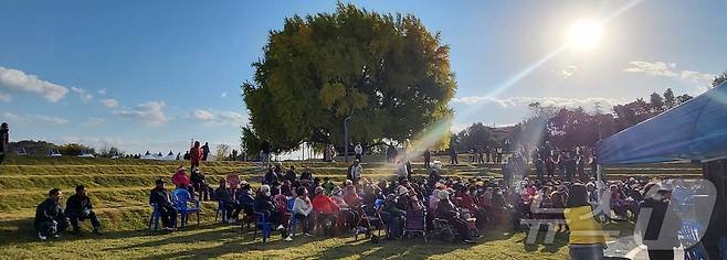 2일 강원도 원주시 문막읍 반계리 은행나무광장에서 열린 '2025 반계리 은행나무 축제'를 찾은 관광객 등이 노랗게 물들어 가고 있는 은행나무를 구경하고 있다. 국내 최고 수령(1318년 추정)인 반계리 은행나무는 천연기념물 제167호로, 높이 32m·둘레 16.27m 규모를 자랑한다. 올해 반계리 은행나무의 단풍은 평년보다는 절정 시기가 늦은 편이지만, 이날 축제는 예년에 버금가는 수준의 인파가 몰리면서 성황을 이루고 있다. 2025.11.2뉴스1 ⓒ News1 신관호 기자