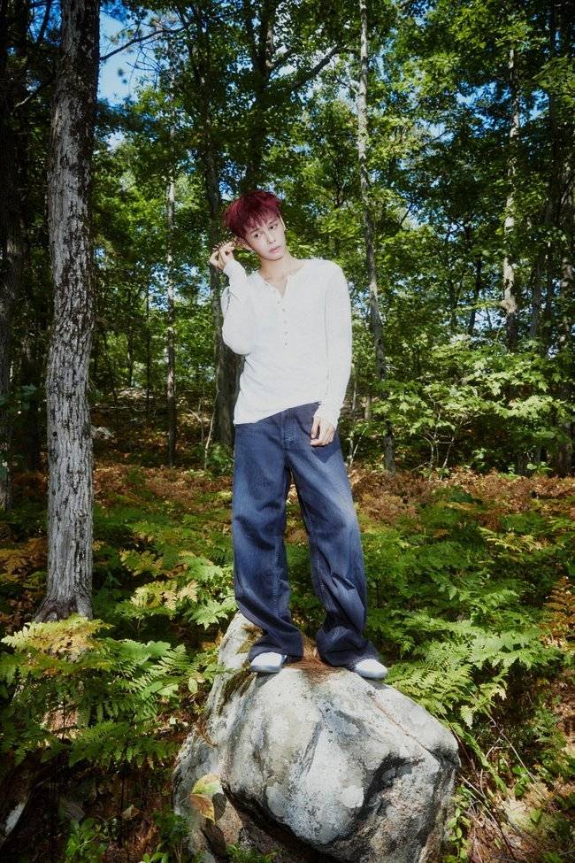 사진=스타쉽엔터테인먼트