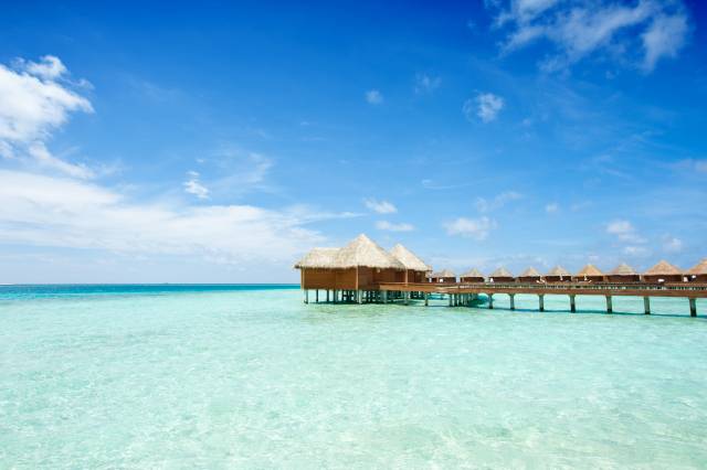 클립아트코리아