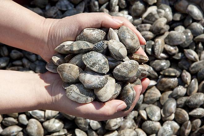 사진제공|클립아트코리아