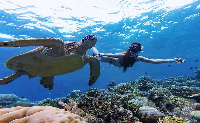 29일(현지시간) 인도네시아 마나도 부나켄 해양국립공원에서 이스타항공의 인천-마나도 첫 편을 통해 도착한 관광객들이 프리다이빙을 하고 있다. 2025.10.29/뉴스1 ⓒ News1 안은나 기자