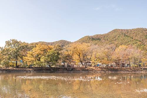 동복천 너머 보이는 화순 숲정이 마을