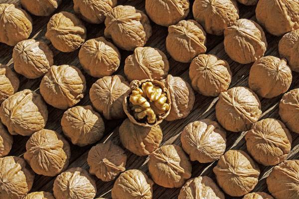 사진=클립아트코리아