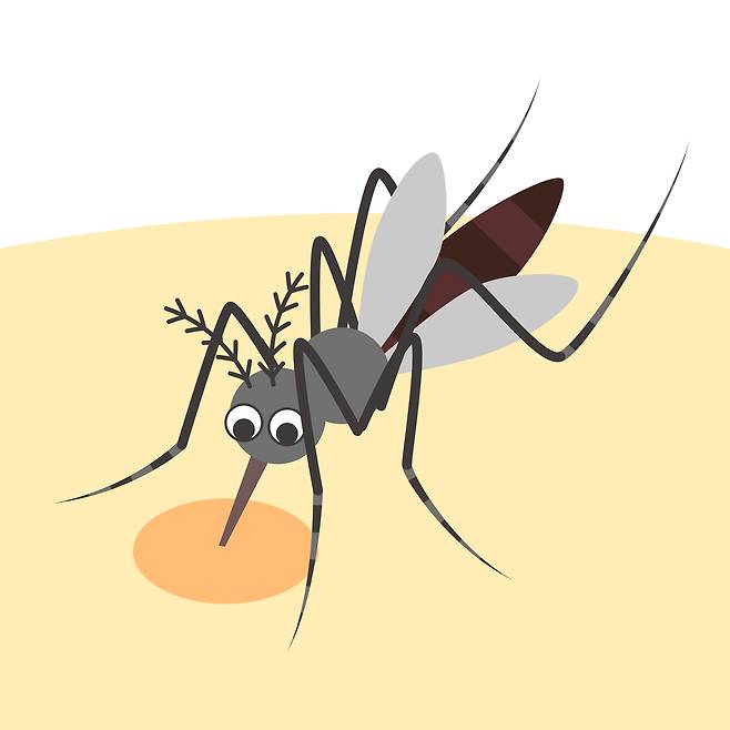 An illustration of a mosquito (123rf)