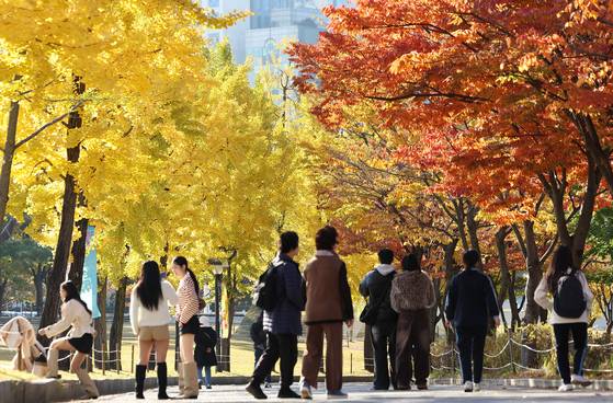 Pedestrians walk along a tree-lined path with autumn foliage at Olympic Park in Songpa District, southern Seoul, on Nov. 3. [NEWS1]