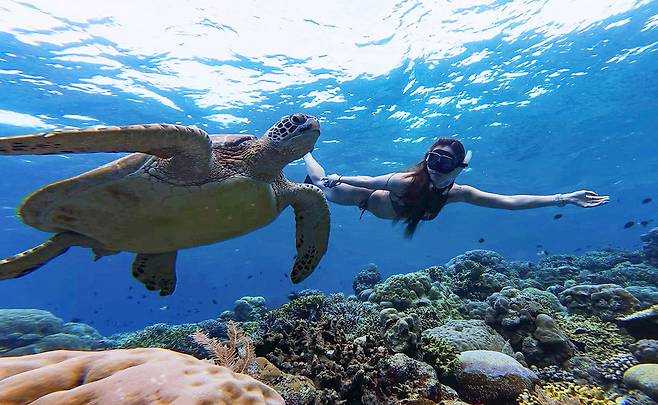 29일(현지시간) 인도네시아 마나도 부나켄 해양국립공원에서 이스타항공의 인천-마나도 첫 편을 통해 도착한 관광객들이 스노쿨링과 다이빙을 즐기며 기념촬영을 하고 있다. 마나도 부나켄 해양국립공원은 맑은 바다 속에서 1,300종 이상의 해양 생물과 370여 종의 살아있는 산호초 등을 맨 눈으로 감상할 수 있어 세계 3대 다이빙 성지로 불린다.