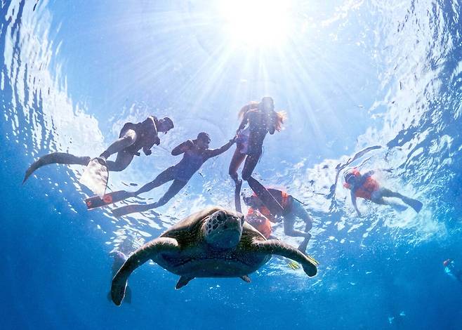 29일(현지시간) 인도네시아 마나도 부나켄 해양국립공원에서 이스타항공의 인천-마나도 첫 편을 통해 도착한 관광객들이 스노쿨링과 다이빙을 즐기며 기념촬영을 하고 있다. 마나도 부나켄 해양국립공원은 맑은 바다 속에서 1,300종 이상의 해양 생물과 370여 종의 살아있는 산호초 등을 맨 눈으로 감상할 수 있어 세계 3대 다이빙 성지로 불린다.