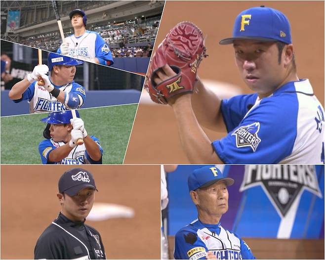 스튜디오C1 ‘불꽃야구’