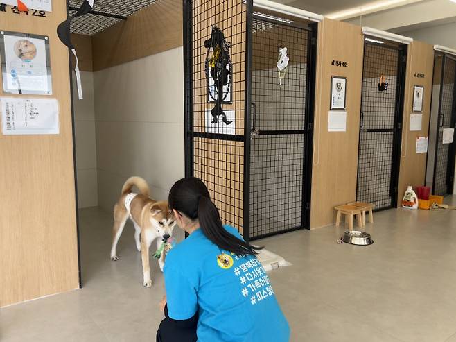 4일 광주 동구 유기견 입양센터 '피스멍멍'에서 이은서 센터장이 유기견 하트를 돌보고 있다. '피스멍멍'은 동구가 고향사랑기부제 지정기부사업인 '유기동물 구조ㆍ보호 지원사업'에 모인 3억9천만원을 투입해 조성됐다. /박건우 기자
