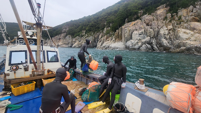 경남 거제에서 해녀들이 지난달 28일 돌멍게와 뿔소라 등을 채취하기 위해 물질할 곳을 살펴본 뒤 바다로 뛰어들고 있다. 이성희 기자