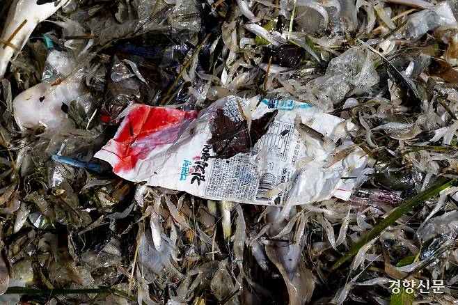 새우와 함께 올라온 1990년대 출시 후 단종된 라면 봉지. 강화 l 문재원 기자