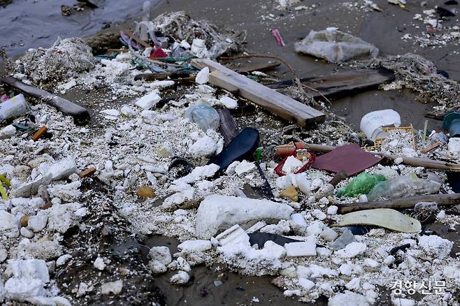 해안가 바로 옆 갯벌로 나가자 악취가 진동했다. 신안 l 문재원 기자