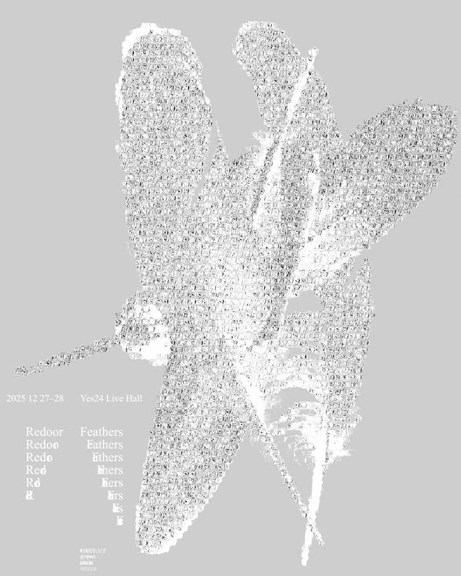 리도어 콘서트/사진제공=앳에어리어