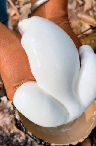 Z세대가 보는&nbsp;ASMR처럼 즐기고 있는&nbsp;고무 짜기 콘텐츠. 인스타그램 @mmellium 계정 캡처