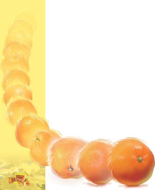 그래픽/박성현기자 pssh0911@kyeongin.com