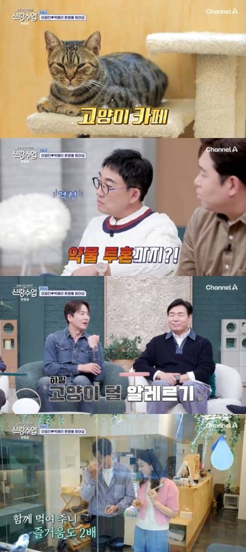 채널A '신랑수업' 캡처